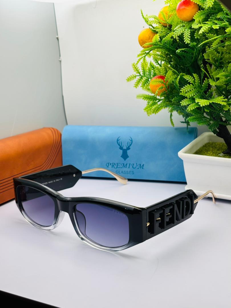Lunettes de soleil Premium