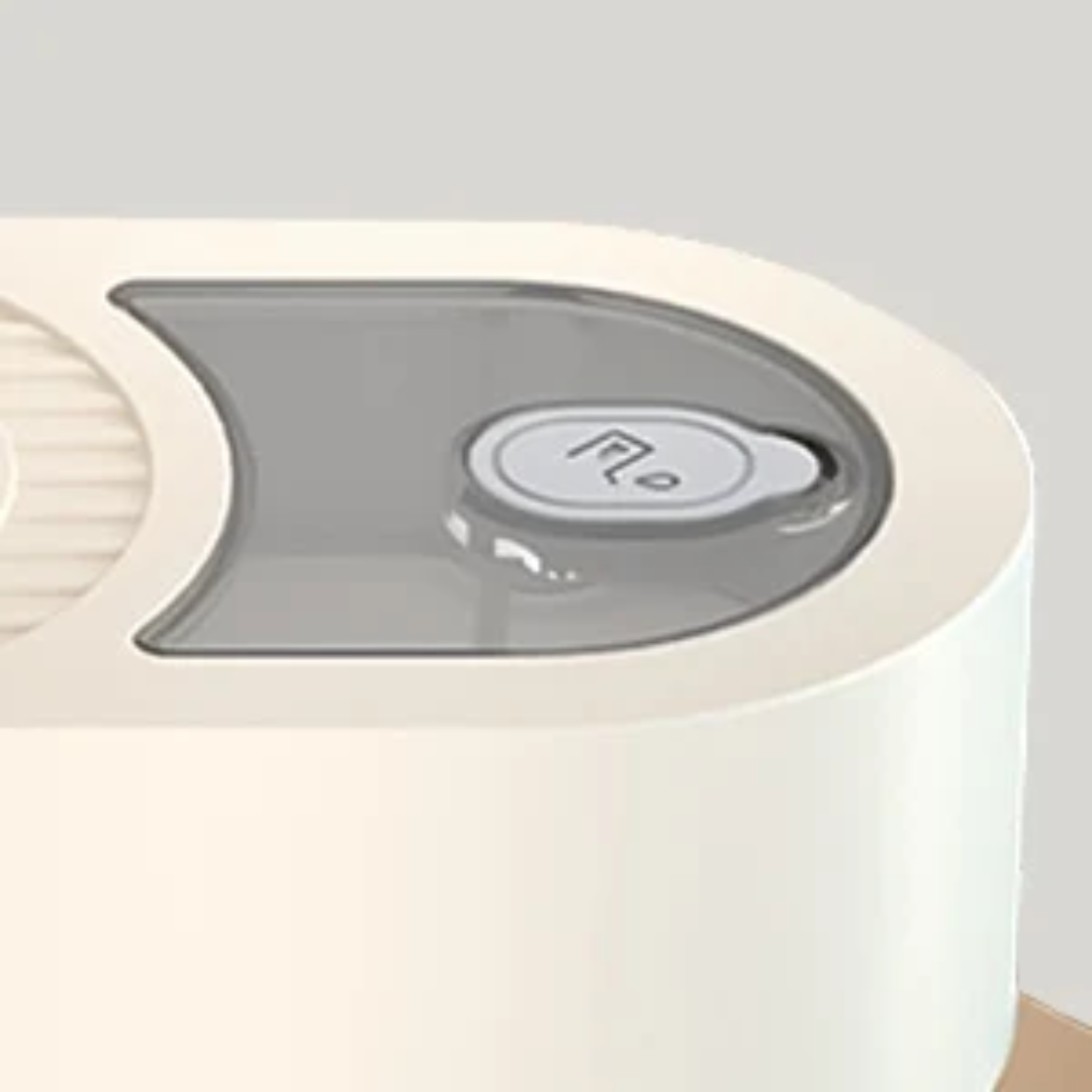 Electric iron