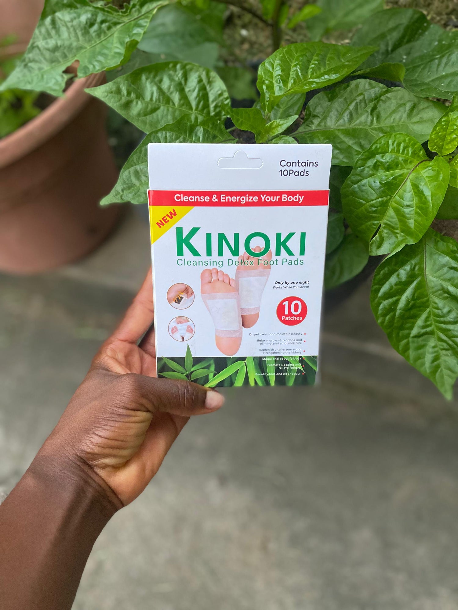 Kinoki