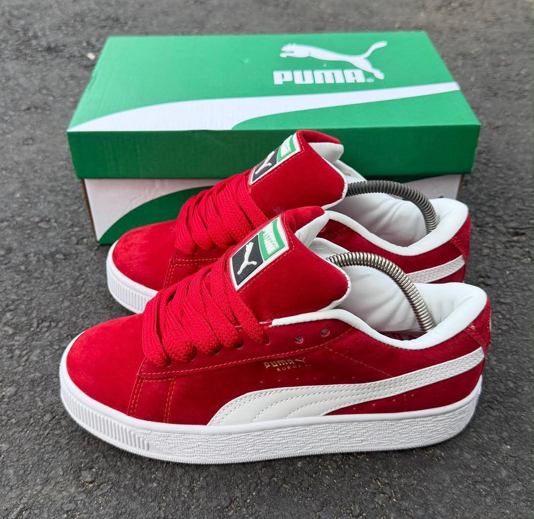 Basket Puma